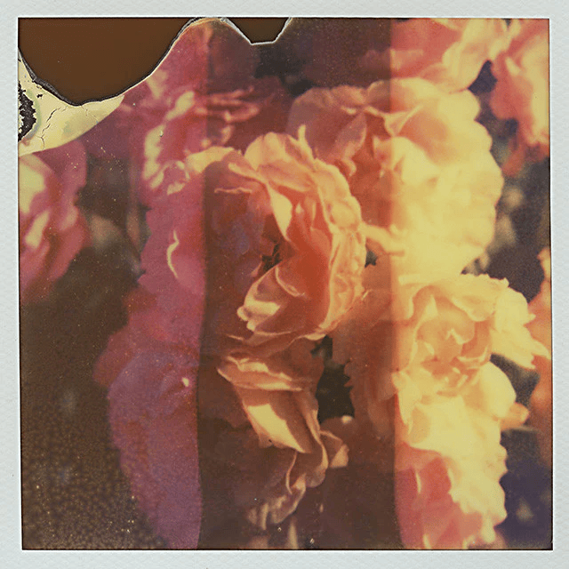 Album cover art for "Black Waters" by Son Lux