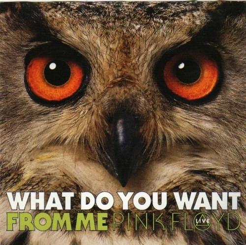 Album cover art for "What Do You Want from Me" by Pink Floyd