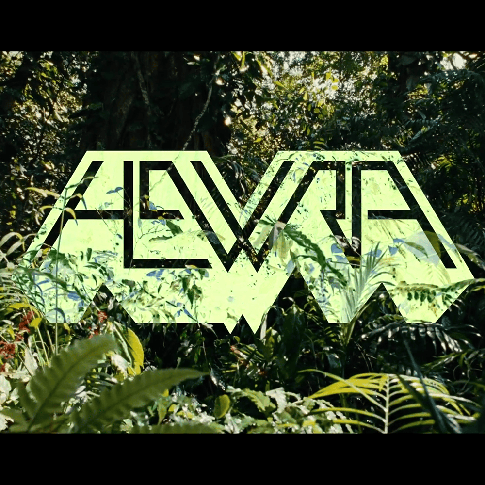 Album cover art for "wielki sos" by HEWRA