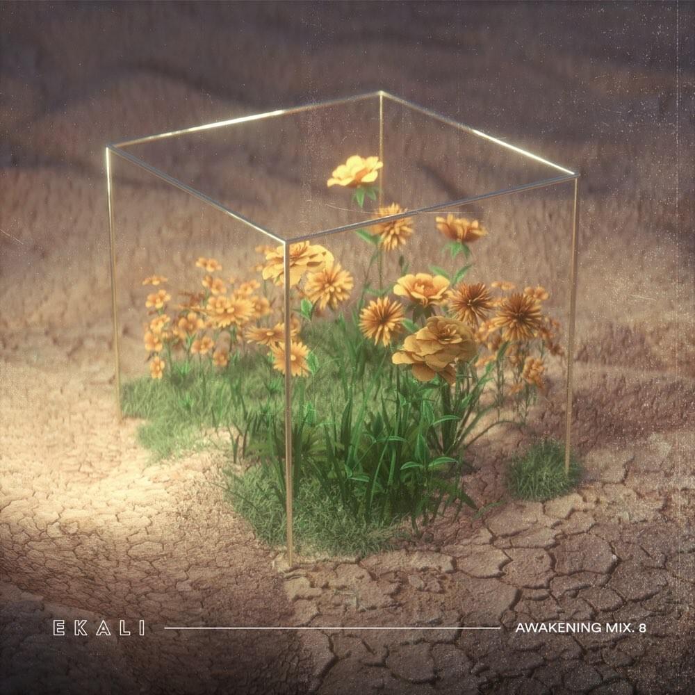 Cover image for Awakening (Mix.8)