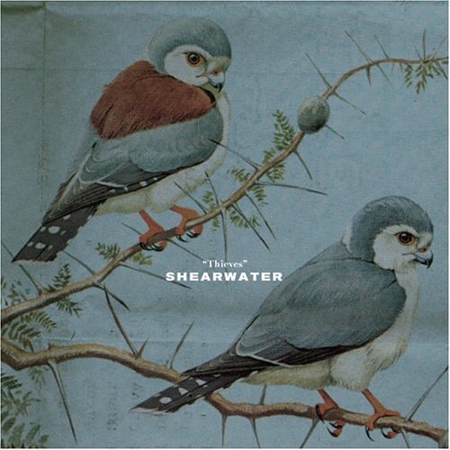 Album cover art for "Mountain Laurel" by Shearwater