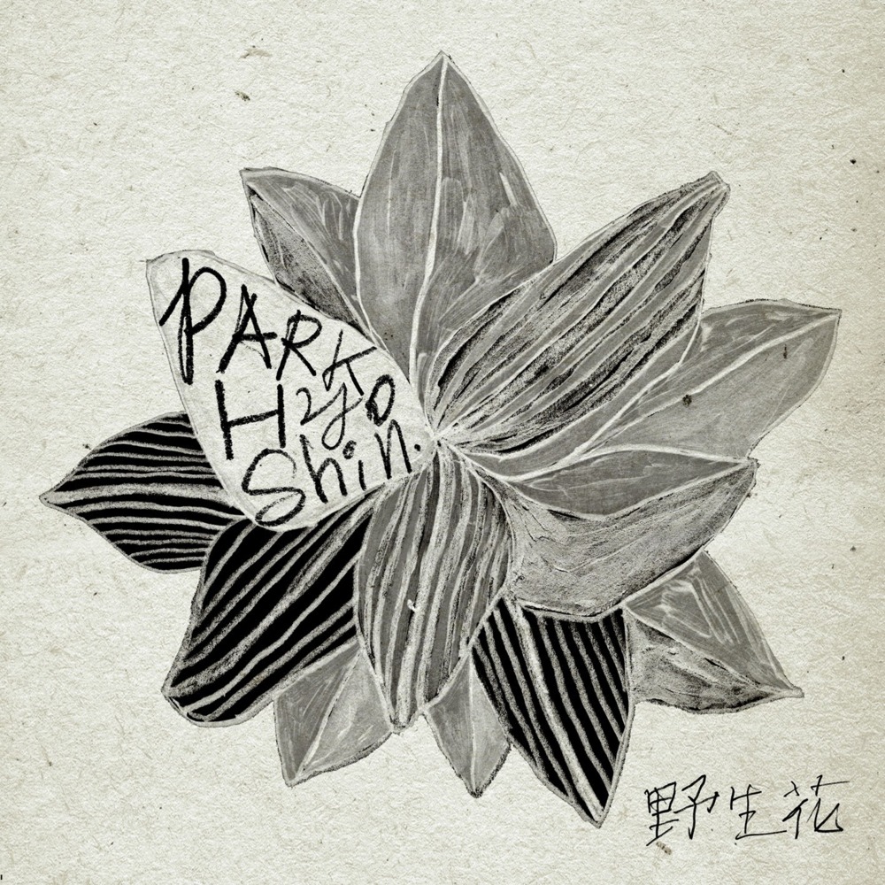 야생화 (Wild Flower) by Park Hyo Shin (박효신)