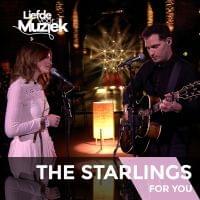 Album cover art for "For You" by The Starlings