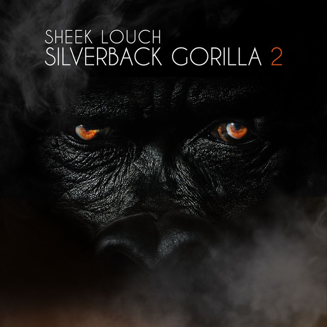 Hood In You by Sheek Louch