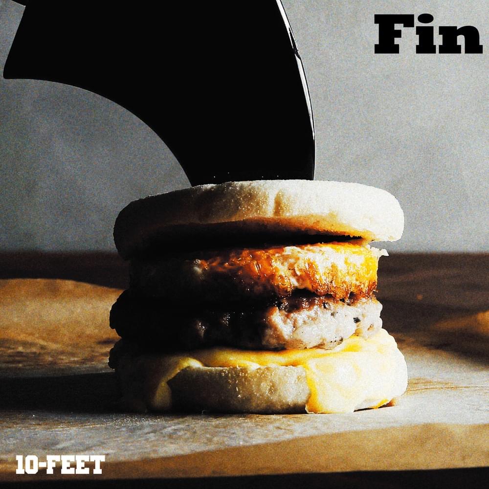 Cover image for Fin