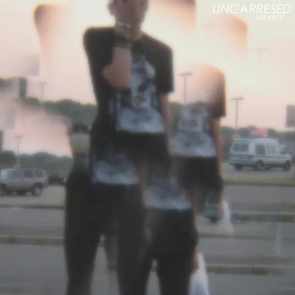Album cover art for "Uncarresed" by Mr.Kitty
