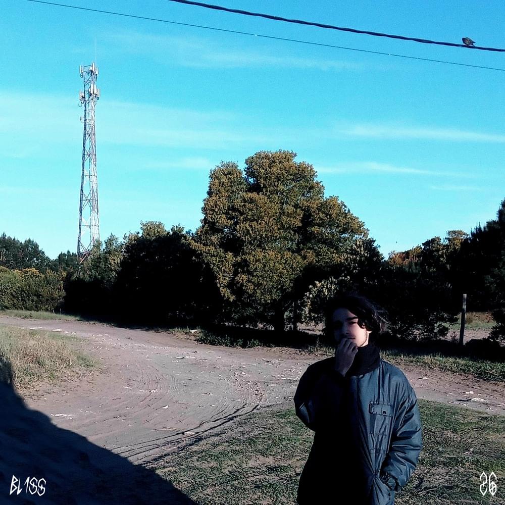 Cover image for Bliss