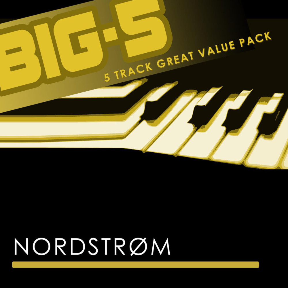 Cover image for Big-5: Nordstrøm