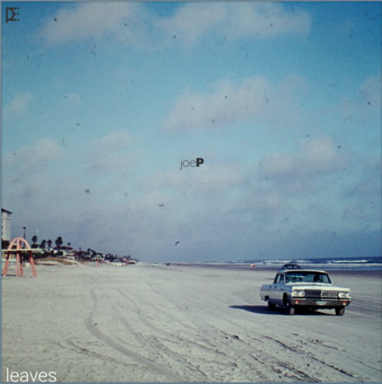 Leaves by Joe P