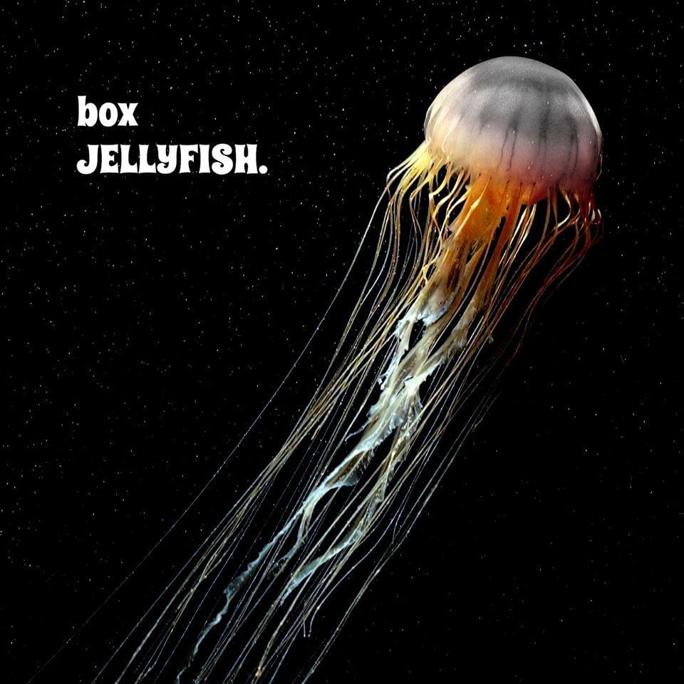 Album cover art for "Box JELLYFISH." by HALOGIC