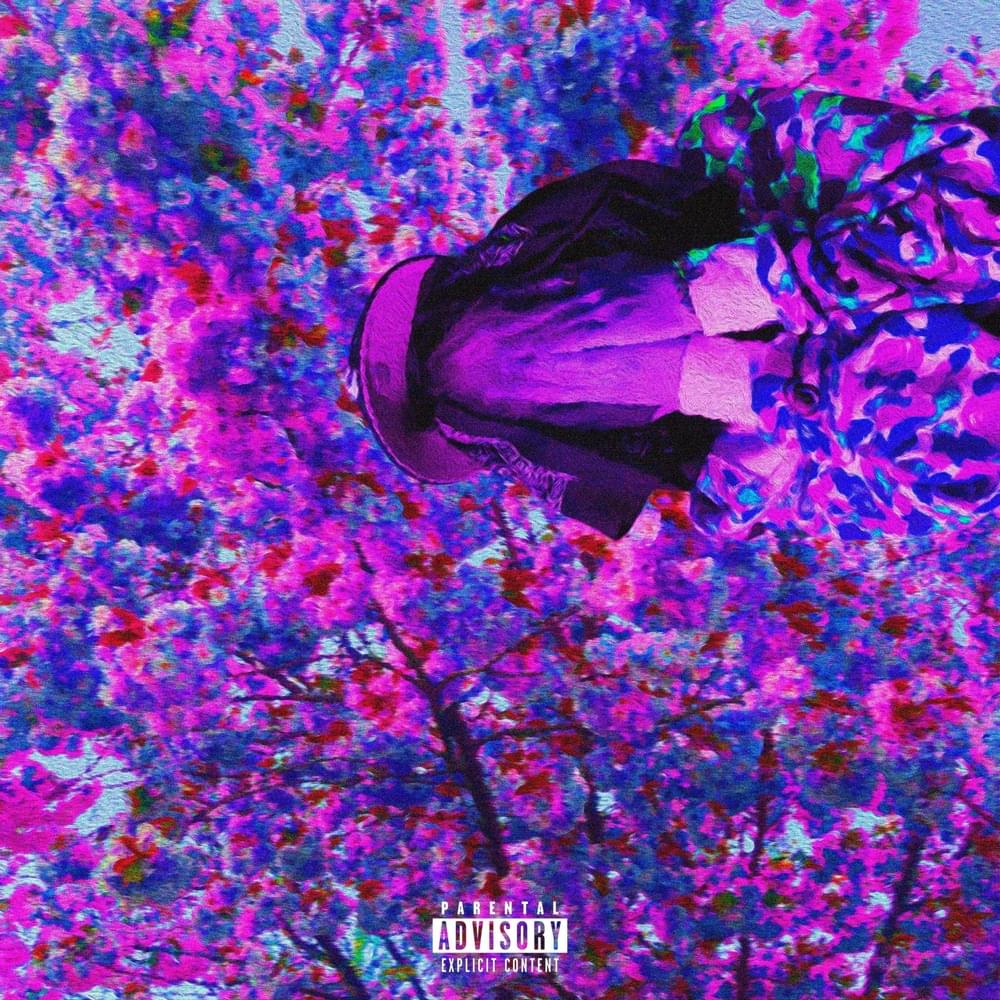 Album cover art for "WOKSTAR" by !CUKI
