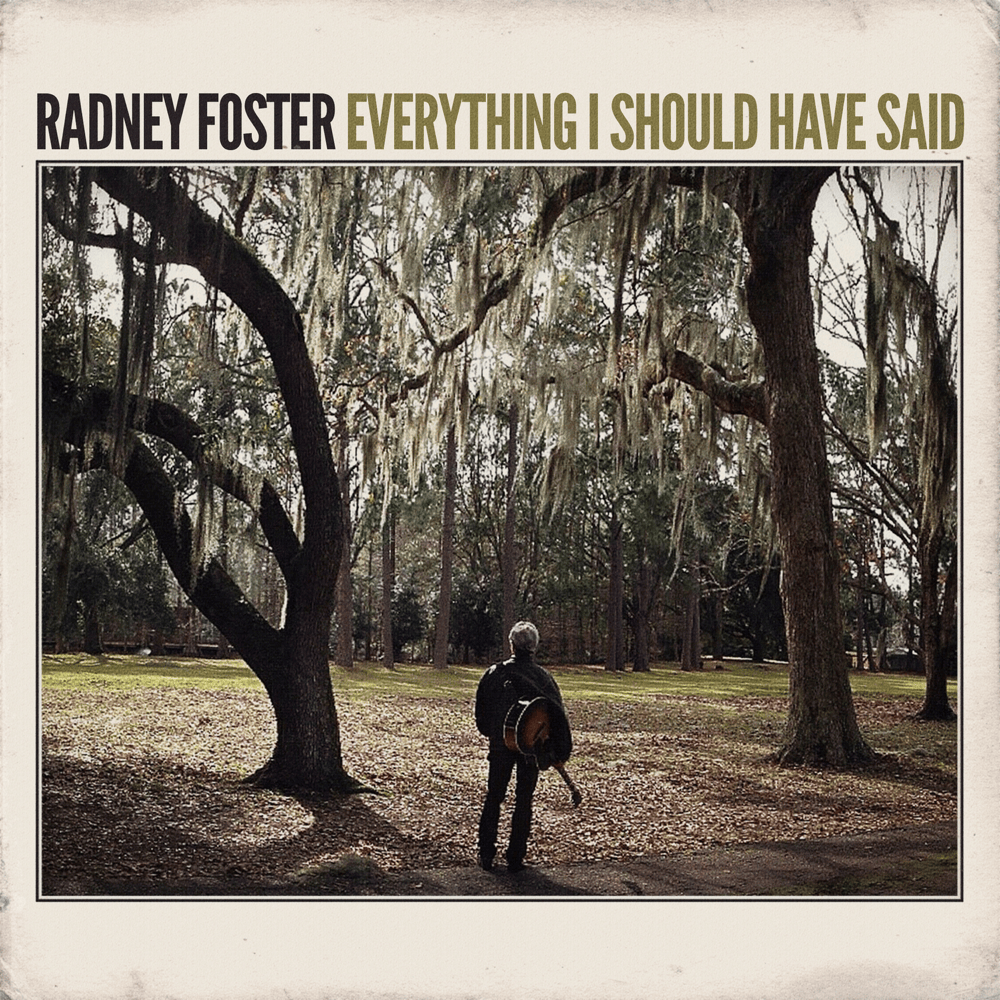Cover image for Everything I Should Have Said