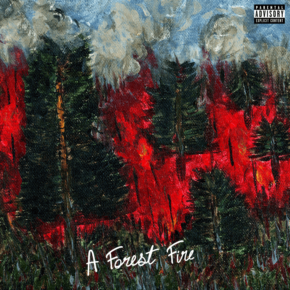 Cover image for A Forest Fire