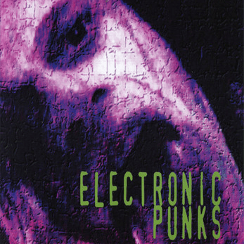Cover image for Electronic Punks