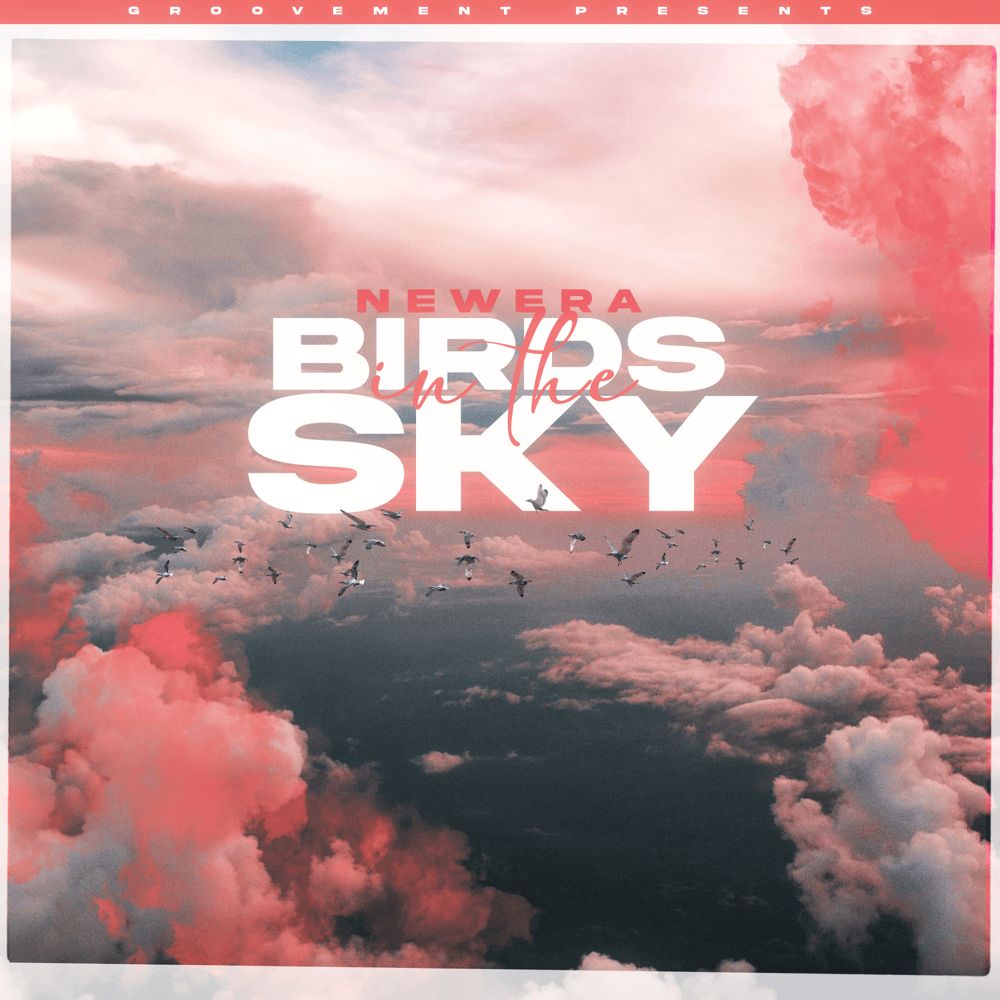 Album cover art for "Birds In The Sky" by NewEra (IRE)