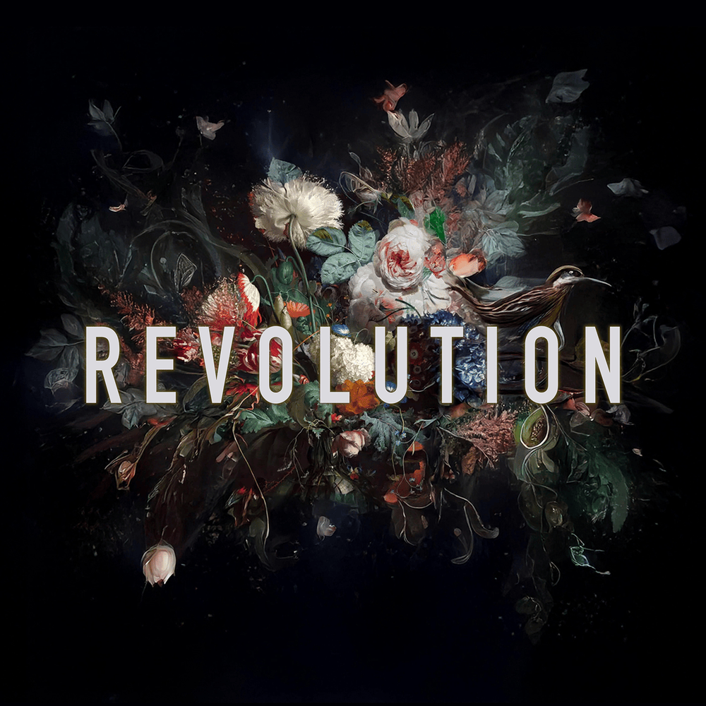 Revolution by Måns Zelmerlöw