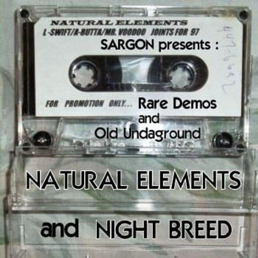Album cover art for "Wishing On A Star" by Natural Elements & Ebony (USA)