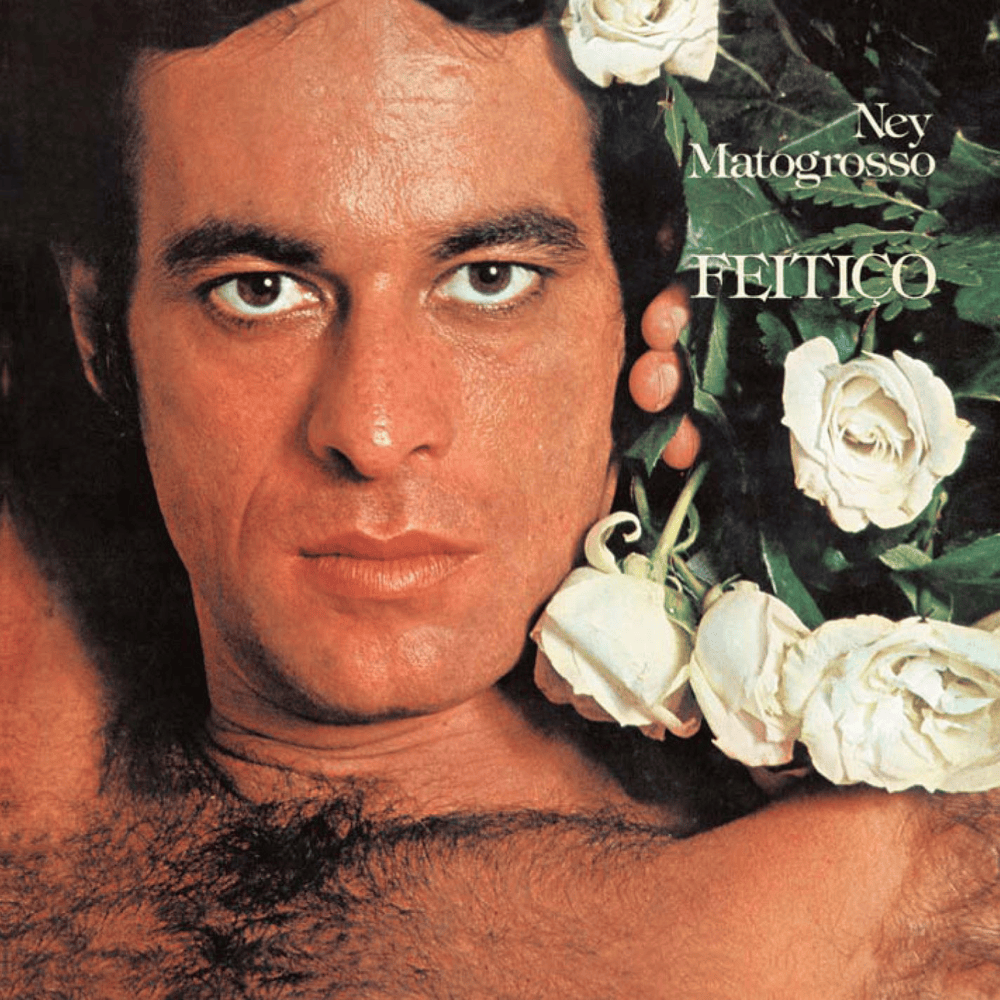 Album cover art for "Mal Necessário" by Ney Matogrosso
