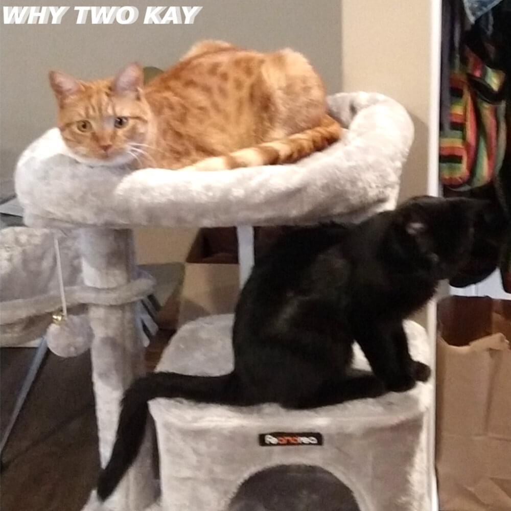 WHY TWO KAY by Knock Monsterr