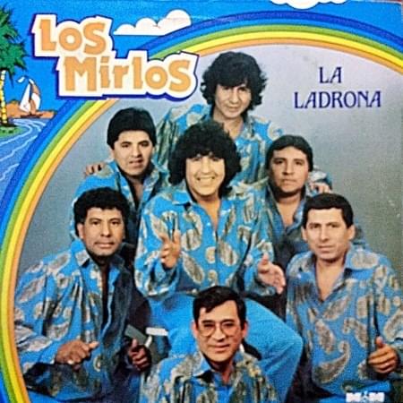 Cover image for La Ladrona