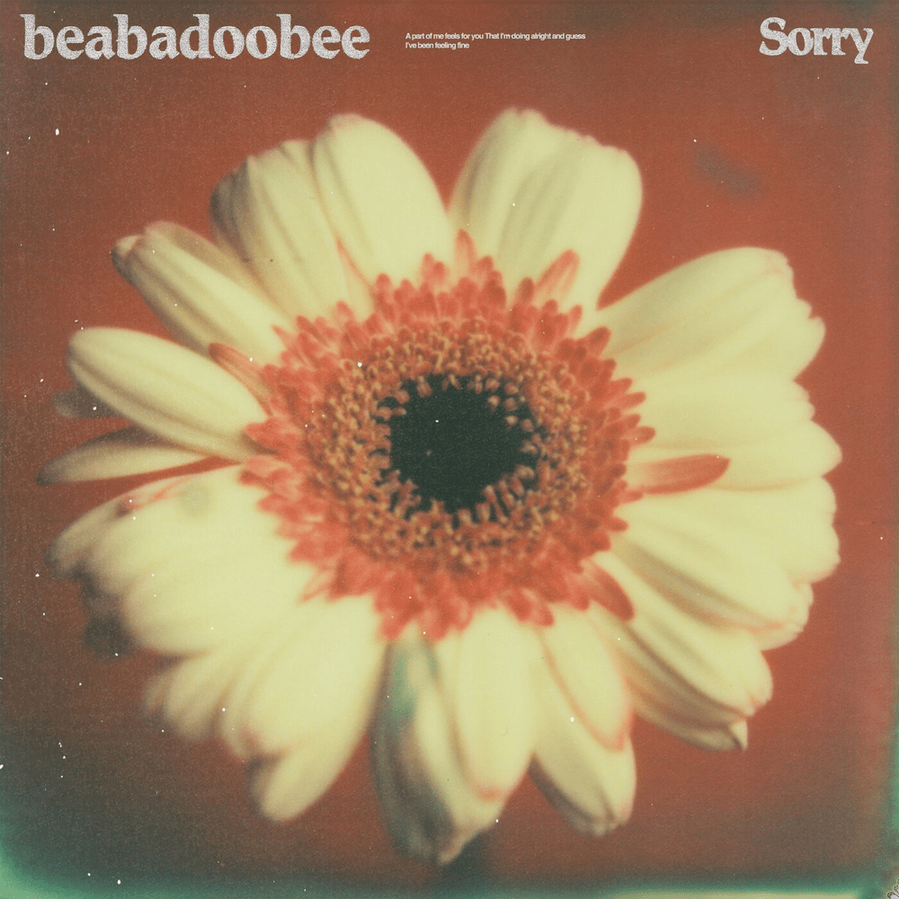 Album cover art for "Sorry" by beabadoobee