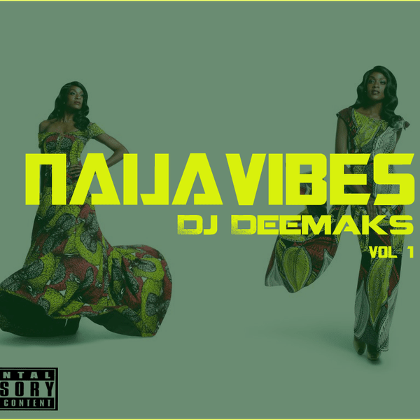 Cover image for Naija Vibes