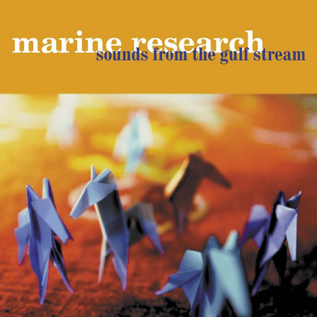 The Glamour Gap by Marine Research