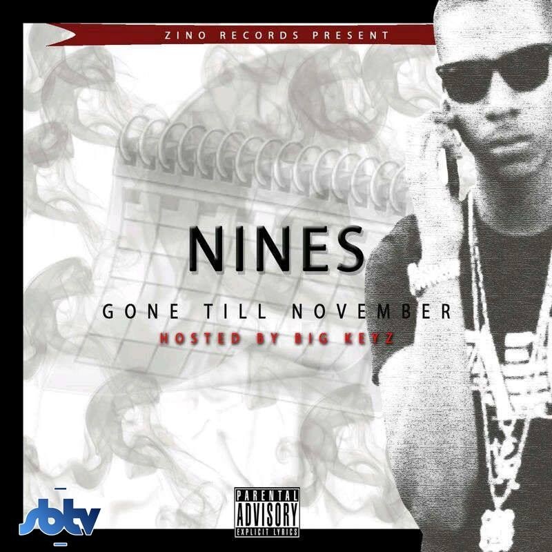 Cover image for Gone Till November