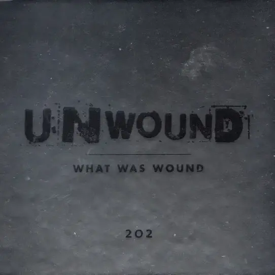 Cover image for What Was Wound