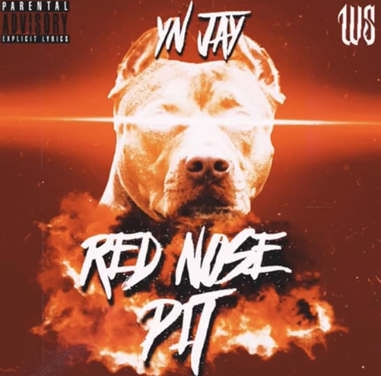 Album cover art for "Red Nose Pit" by YN Jay