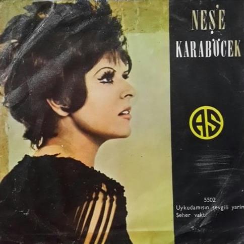 Album cover art for "Uykudamısın Sevgili Yarim" by Neşe Karaböcek