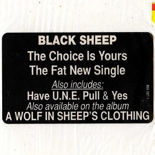 The Choice Is Yours by Black Sheep