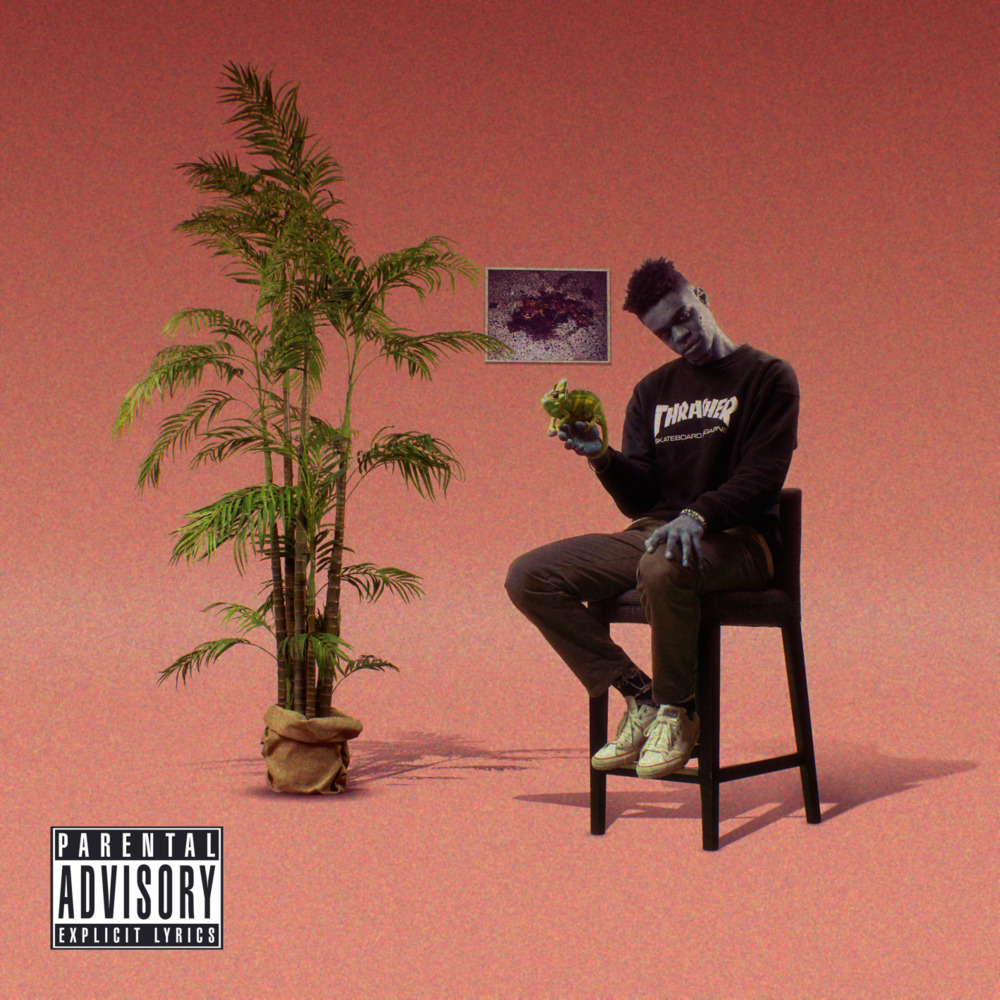 Album cover art for "Dans tes Chveux" by Varnish la Piscine & Slimka & Ike Ortiz & Daej Phantom & Rico TK
