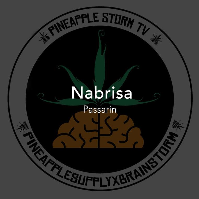 Album cover art for "Passarin" by NaBrisa