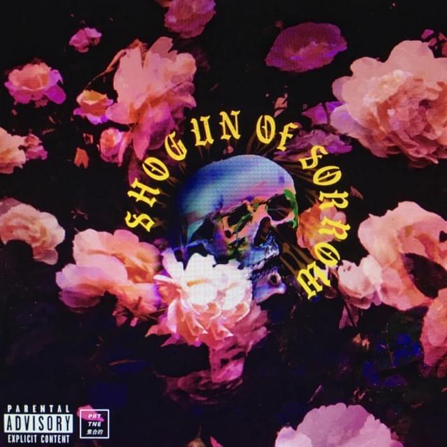 Cover image for Shogun of Sorrow