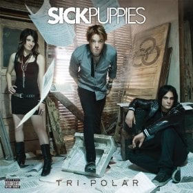 Album cover art for "Survive" by Sick Puppies