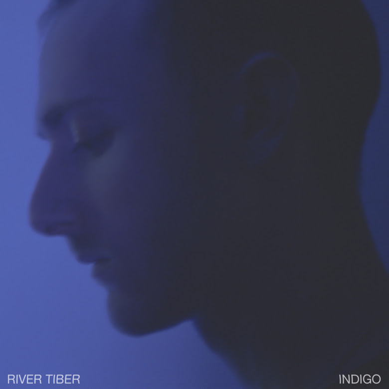 Cover image for Indigo