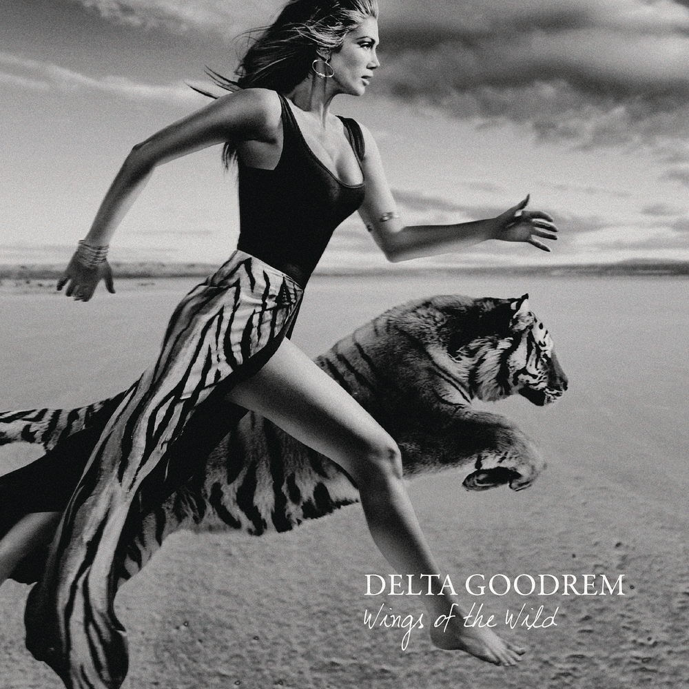 Cover image for Wings of the Wild