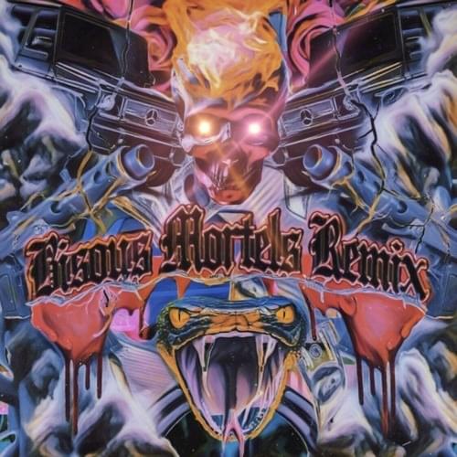 Cover image for Bisous mortels (Remix)