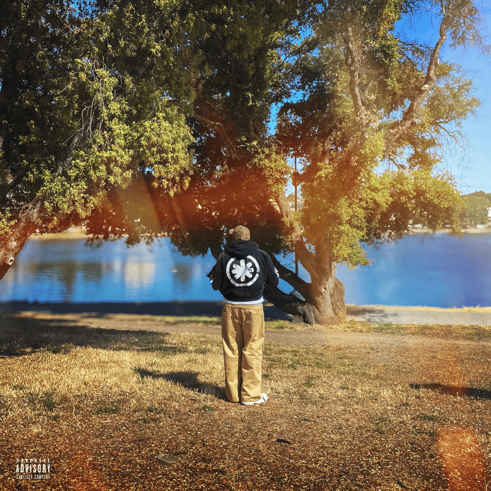Album cover art for "Dim My Light" by Rexx Life Raj