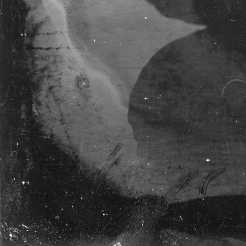 Album cover art for "Vanessa" by Midwife