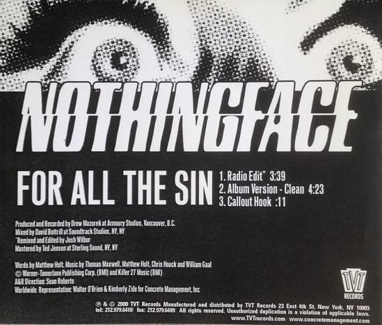 For All the Sin by Nothingface