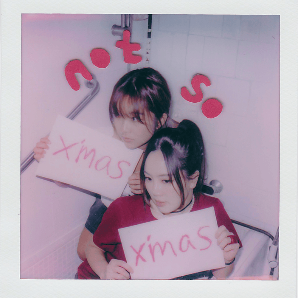 Cover image for not so xmas xmas