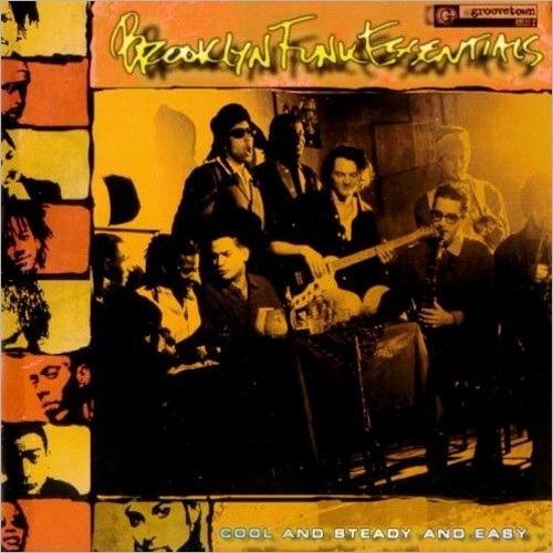 The Revolution Was Postponed Because Of Rain by Brooklyn Funk Essentials