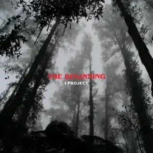 Cover image for The Beginning