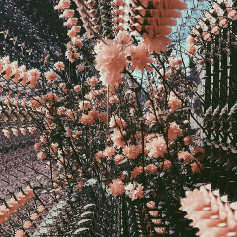 Album cover art for "Dazed Days" by Alfie Templeman