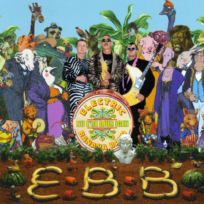 Cover image for Nu e’re djur igen