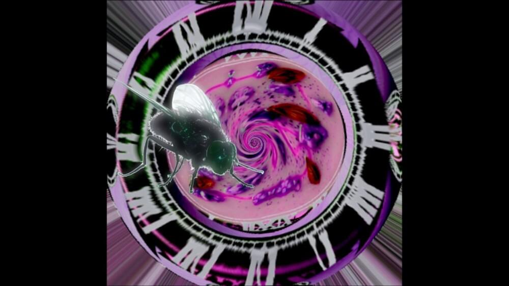 Album cover art for "When The Bugs Finally Learned To Time Travel" by Crotchthrottle