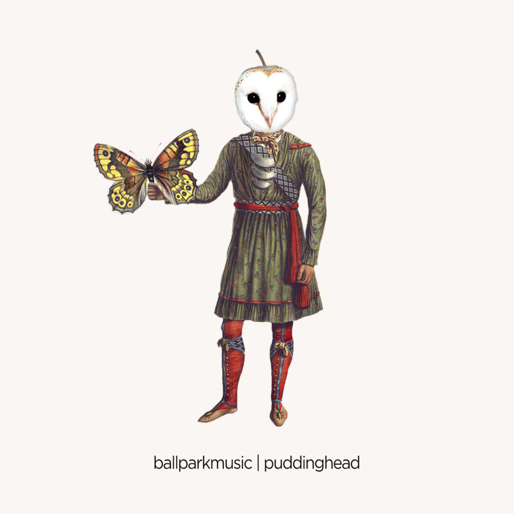Cover image for Puddinghead