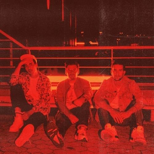 Cover image for The Shadowboxers